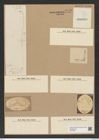 Trinacria regina Heib. (de-Toni-Nr.: Genus 119, Species 3405) Zeichnungen Sammlung Grunow Nr. 6843 (NHMW-BOT-W0375698)